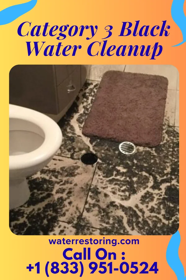Category 3 Black Water Cleanup in Toppers, OK